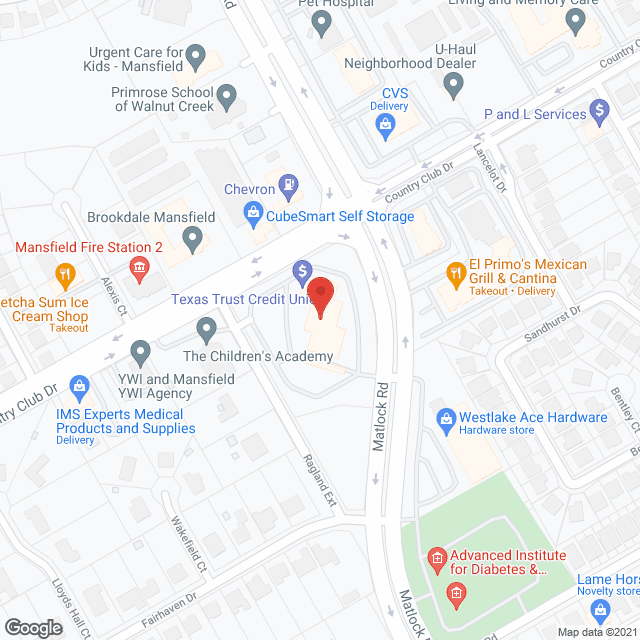 Home Instead - Arlington, TX in google map