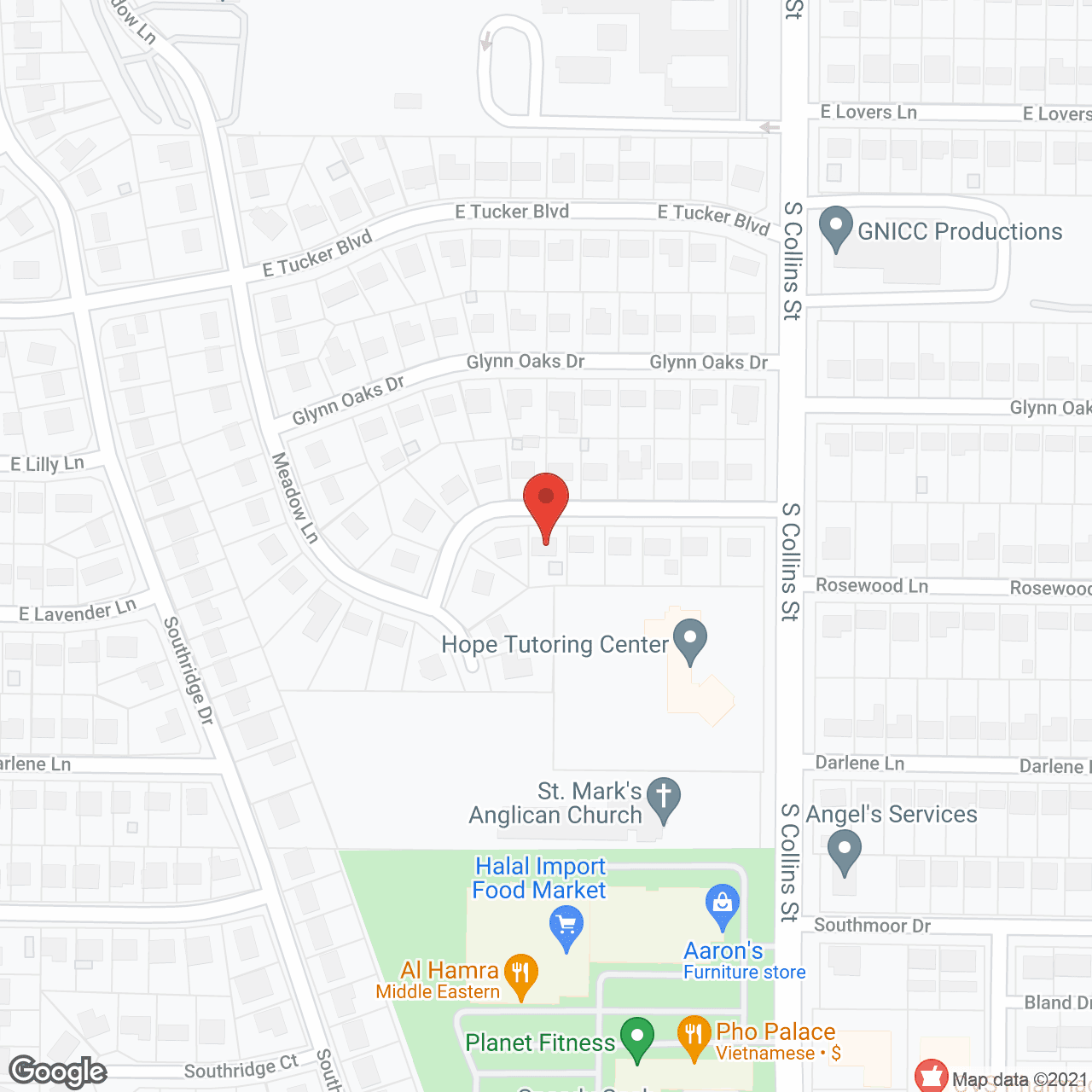 Anew Lite LLC in google map