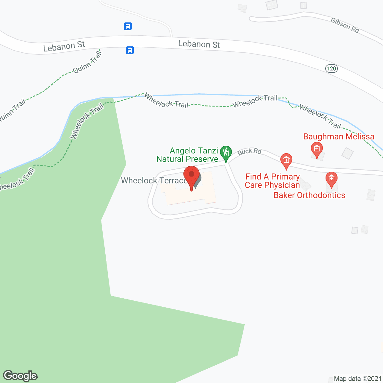 Wheelock Terrace in google map