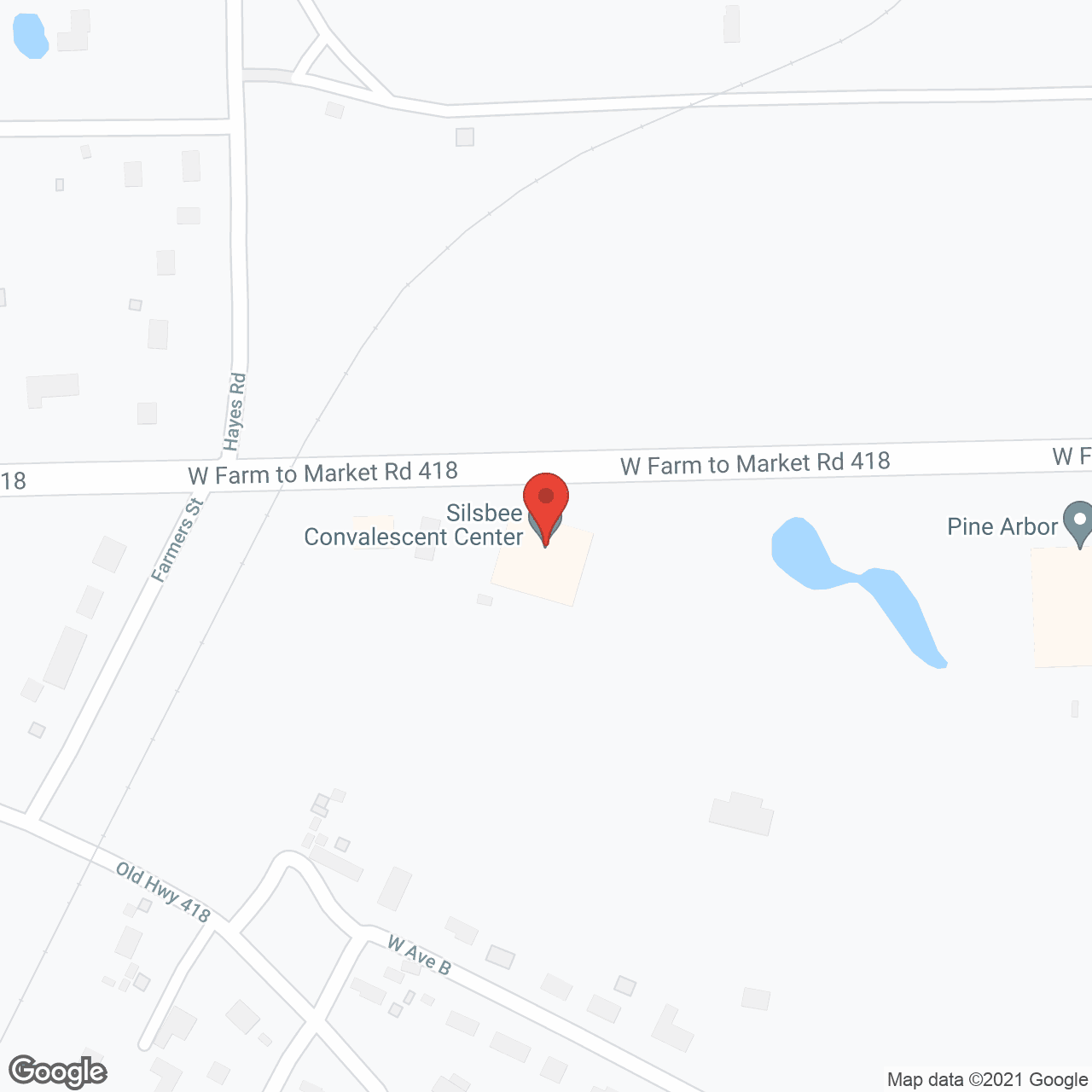 Silsbee Convalescent Center in google map