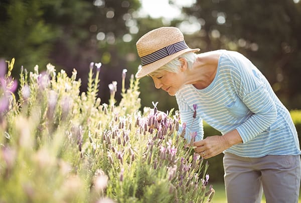 A senior woman smelling flowers in a garden
